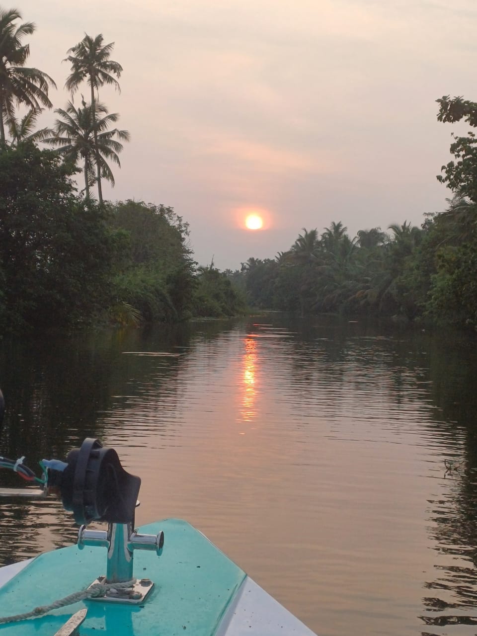 Coconut groves along Meenachil river